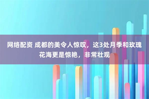 网络配资 成都的美令人惊叹，这3处月季和玫瑰花海更是惊艳，非常壮观