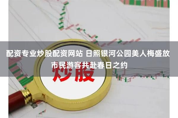 配资专业炒股配资网站 日照银河公园美人梅盛放 市民游客共赴春日之约